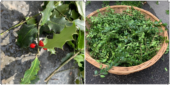 Palmbinden – Samstag, 28. März